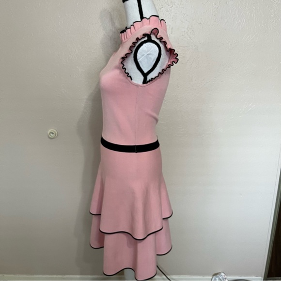Parker Ryker Ballerina Pink Ruffle Knit Sleeveless Dress Womens Size Medium - Picture 5 of 13